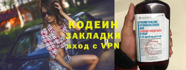 ПСИЛОЦИБИНОВЫЕ ГРИБЫ Вяземский