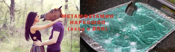 ПСИЛОЦИБИНОВЫЕ ГРИБЫ Вяземский