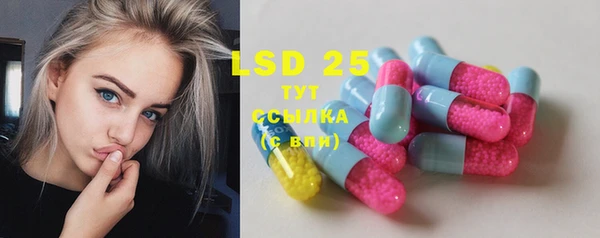 ПСИЛОЦИБИНОВЫЕ ГРИБЫ Вяземский