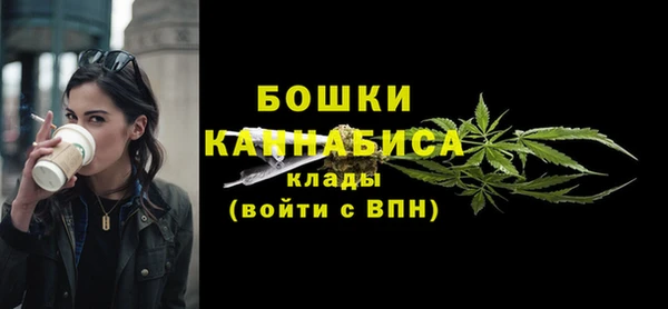 ПСИЛОЦИБИНОВЫЕ ГРИБЫ Вяземский