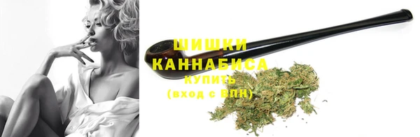 ПСИЛОЦИБИНОВЫЕ ГРИБЫ Вяземский