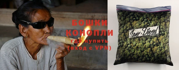 ПСИЛОЦИБИНОВЫЕ ГРИБЫ Вяземский