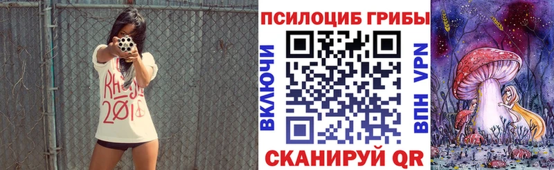 купить наркоту  Северская  площадка телеграм  Галлюциногенные грибы Psilocybe 